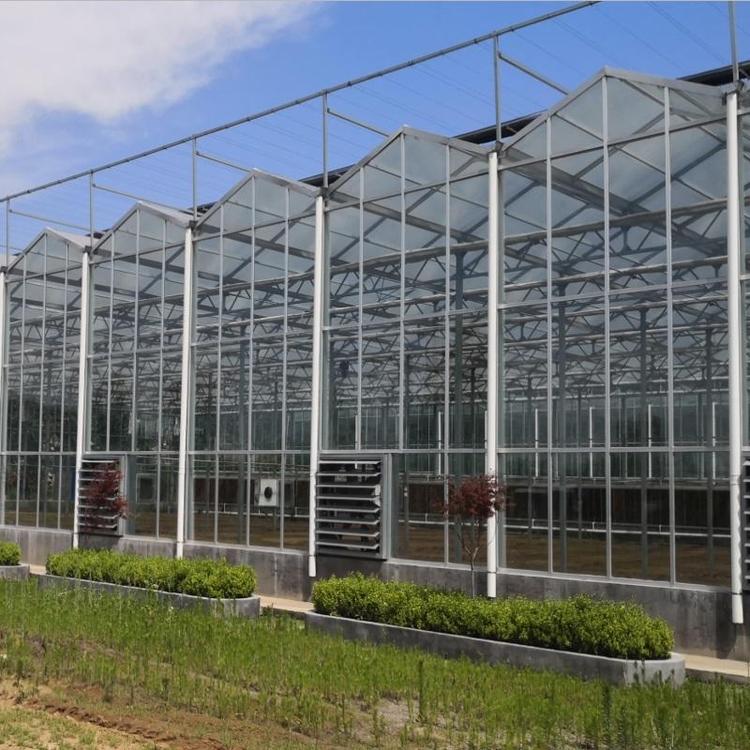 文絡(luò)式玻璃溫室的特點(diǎn)有哪些呢？